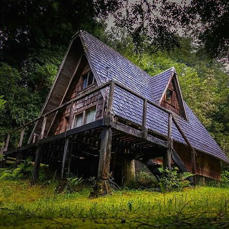 Ralun Patagonia Casa de hóspedes Exterior foto