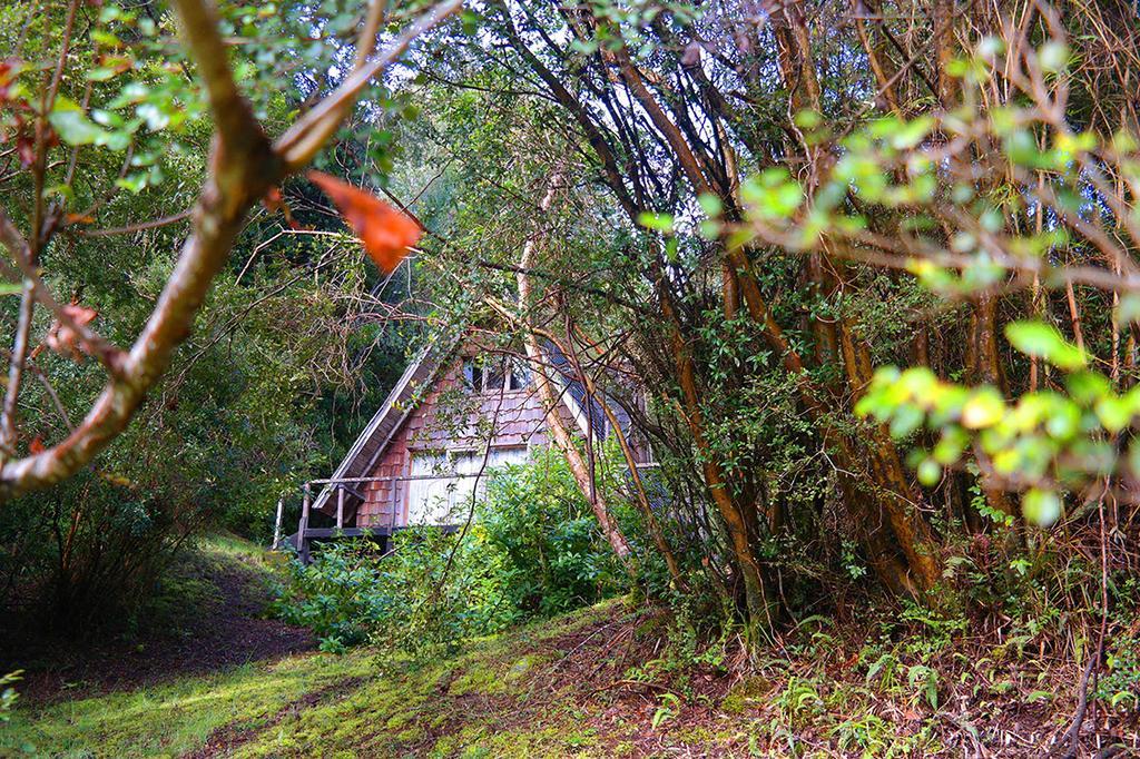 Ralun Patagonia Casa de hóspedes Exterior foto
