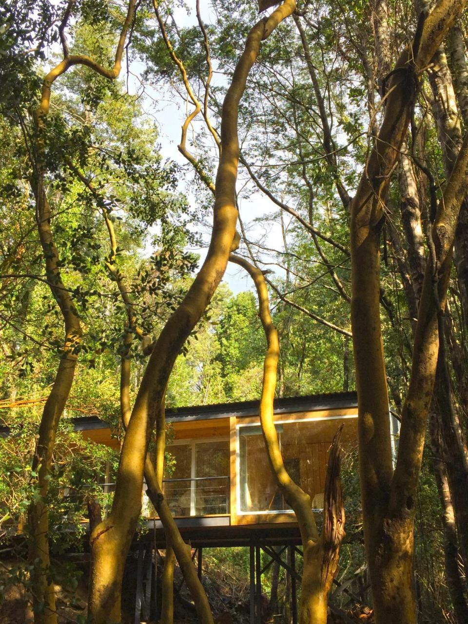 Ralun Patagonia Casa de hóspedes Exterior foto